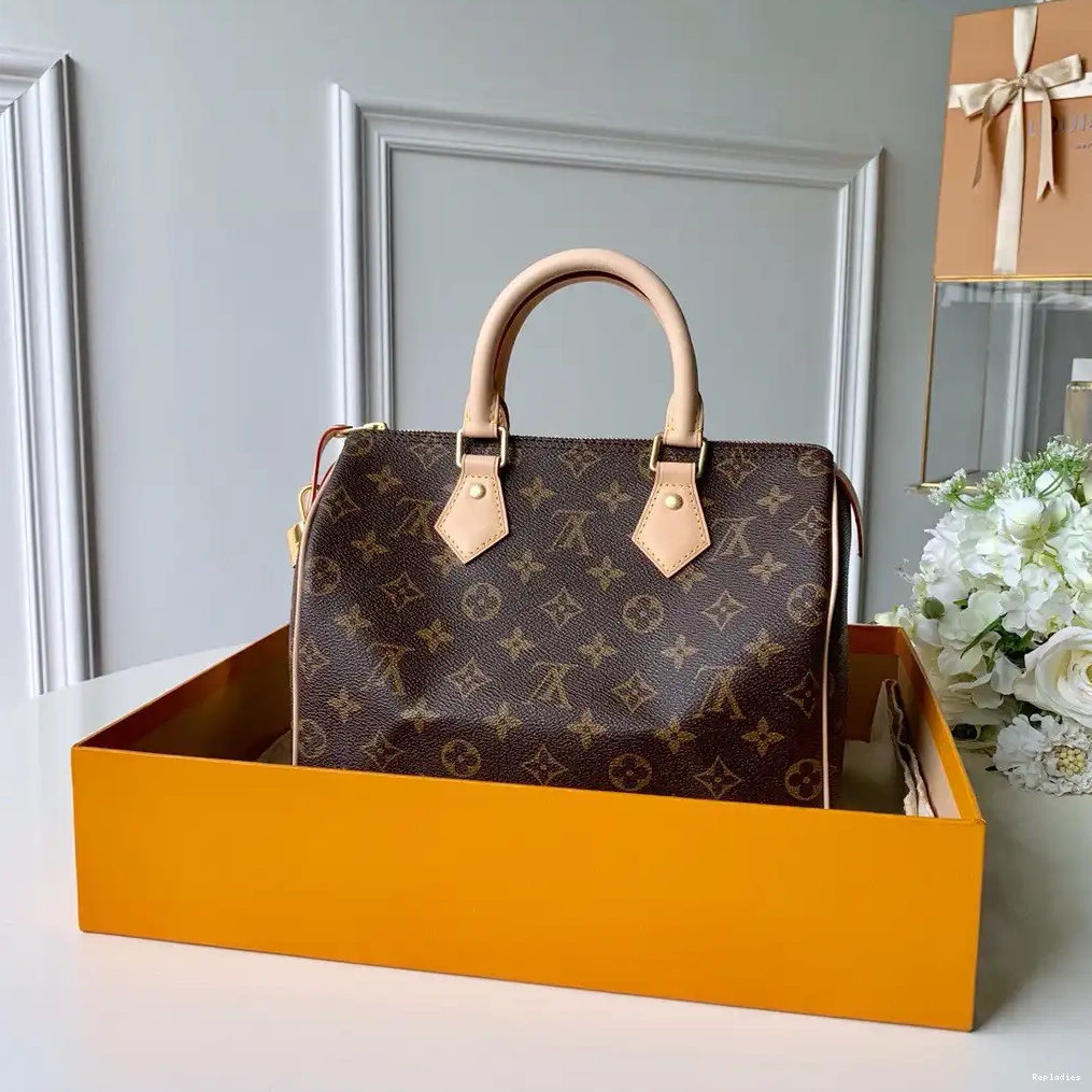 Cheap Louis Vuitton SPEEDY 25 0701